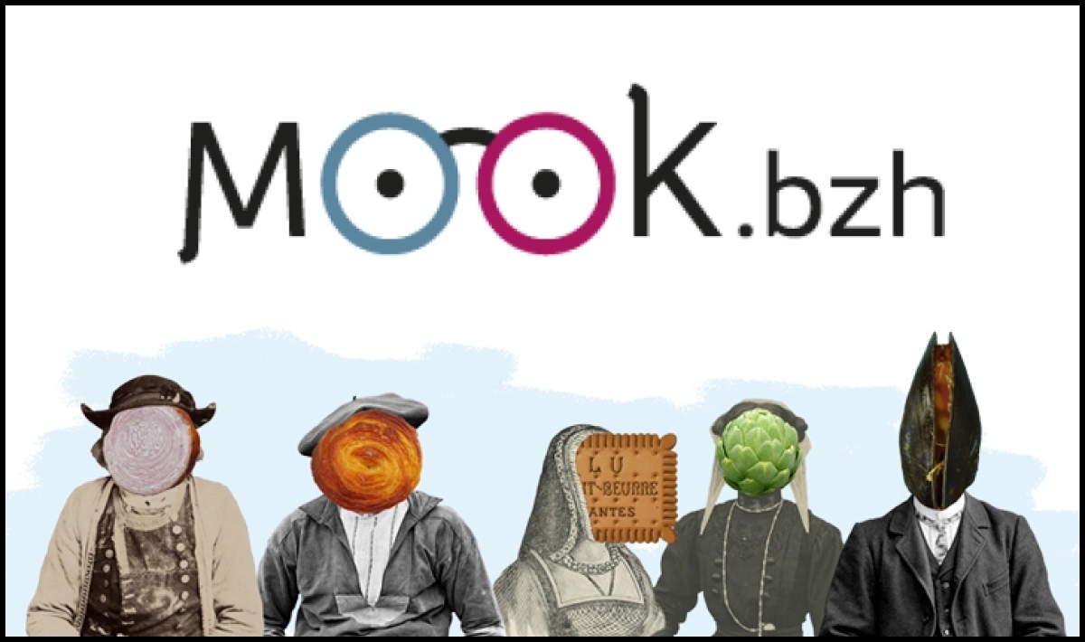 Mook